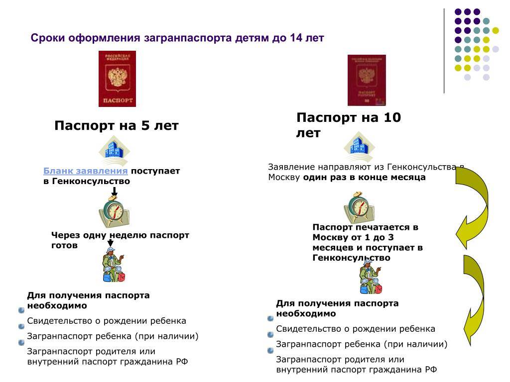 Какие документы нужны для загранпаспорта: как сделать документ поэтапно, стоимость и срок выдачи