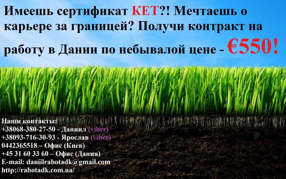 Работа в дании: поиск и трудоустройство, как найти для русских