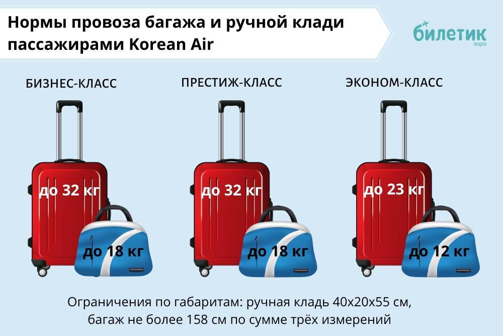 Ручная кладь и багаж белавиа: правила провоза и размеры по нормам