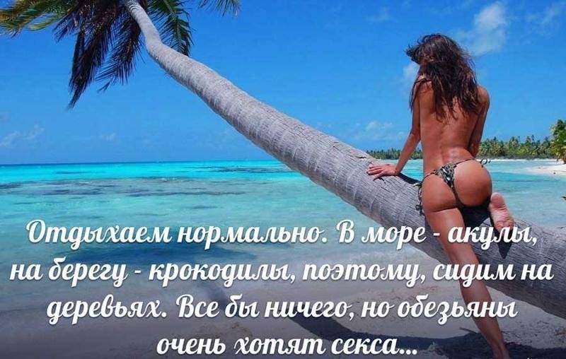 Замужем за киприотом.. листок посреди моря. как живут современные киприоты ... 31.