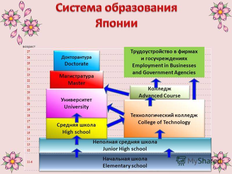 Как получить образование в Японии: этапы, особенности, стоимость