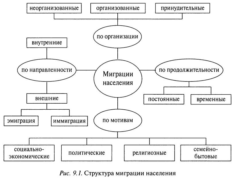 Виды миграции населения: классификация, формы и причины в 2023 году