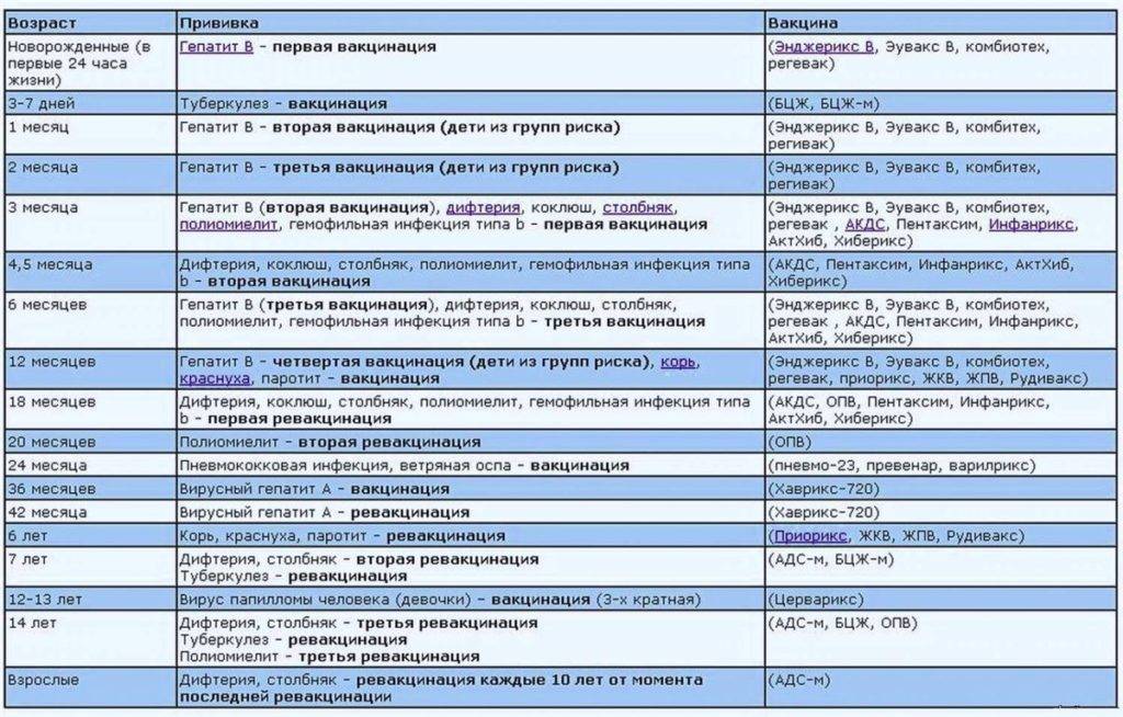 Вакцинация в германии: немецкий календарь прививок - emigraciya.pro