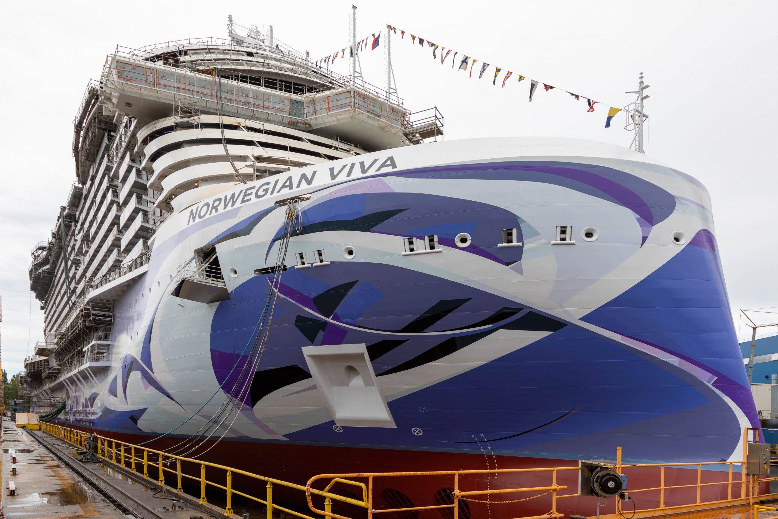 Norwegian cruise line sues florida surgeon general over law prohibiting proof of vaccine | daily mail online