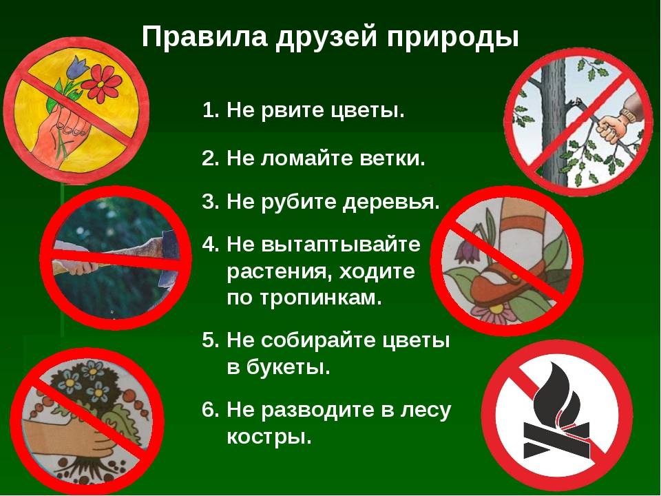 7 запретов: чего нельзя делать в нидерландах