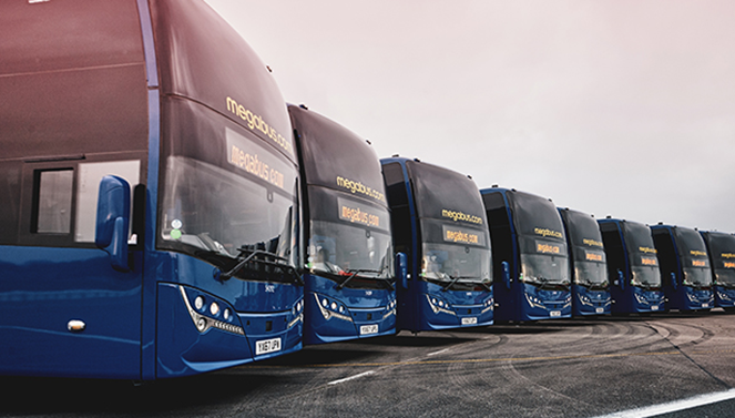 Международный перевозчик Megabus: условия и правила поездок