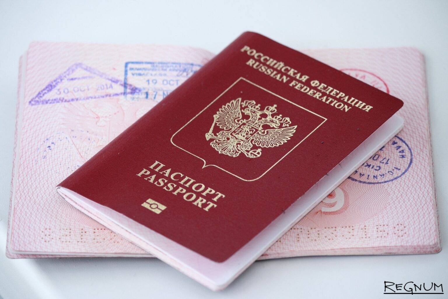 Какой в россии паспорт: всё о главном документе россиянина