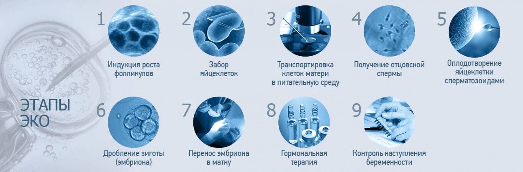 Экстракорпоральное оплодотворение (эко)