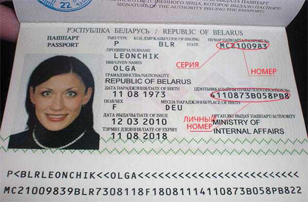 Где находятся номер и серия паспорта рф