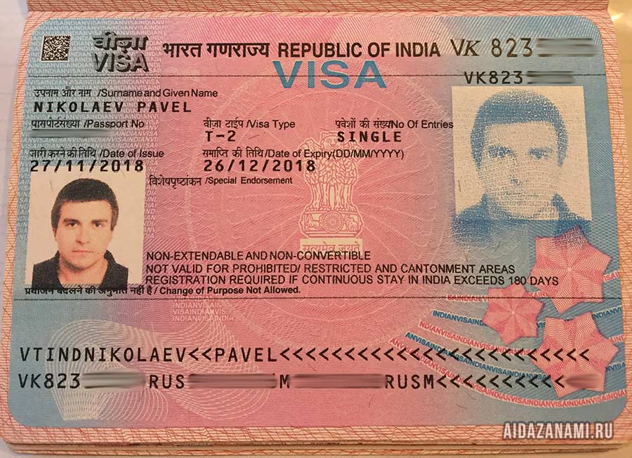 Indian visa. Виза в Индию. Индийская туристическая виза. Как выглядит виза в Индию. Индийская электронная виза.