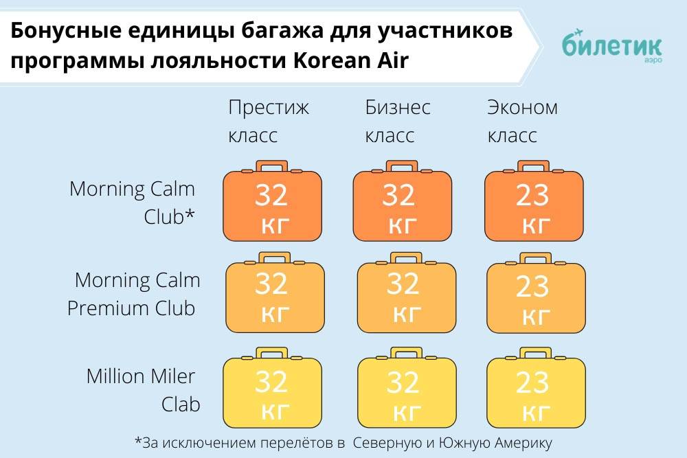 Эль аль (el al israel airlines): обзор авиакомпании израиля, услуги и направления перелета, правила провоза багажа и ручной клади