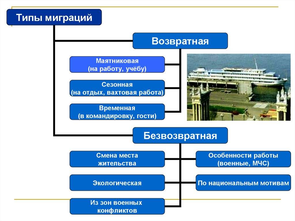 Что такое маятниковая миграция: понятие, причины, последствия
что такое маятниковая миграция: понятие, причины, последствия
