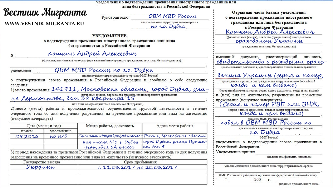 В чем заключается процедура уведомления о проживании по внж?