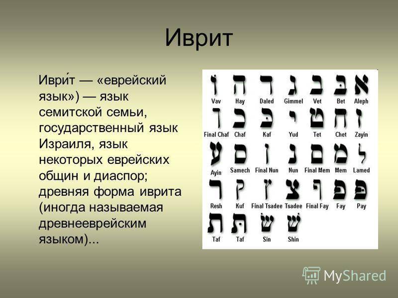 На каких языках говорят в израиле — иммигрант сегодня