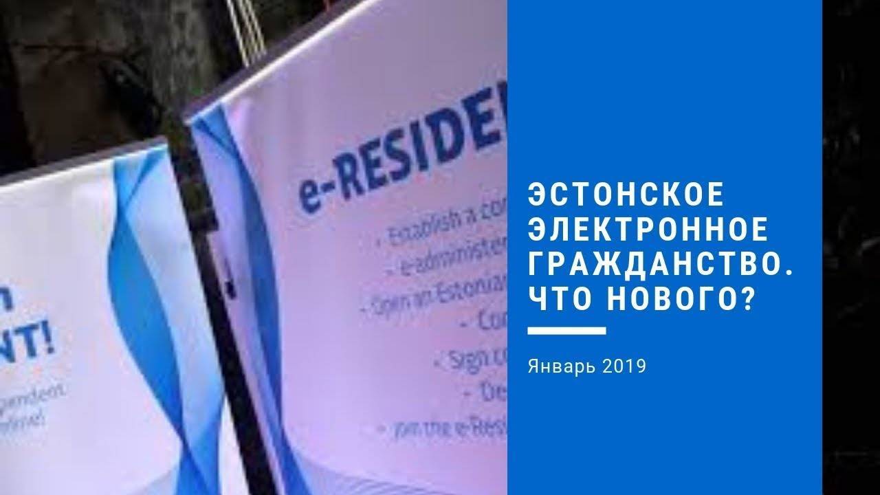 Гражданство эстонии: условия получения, необходимые документы - realconsult.ru