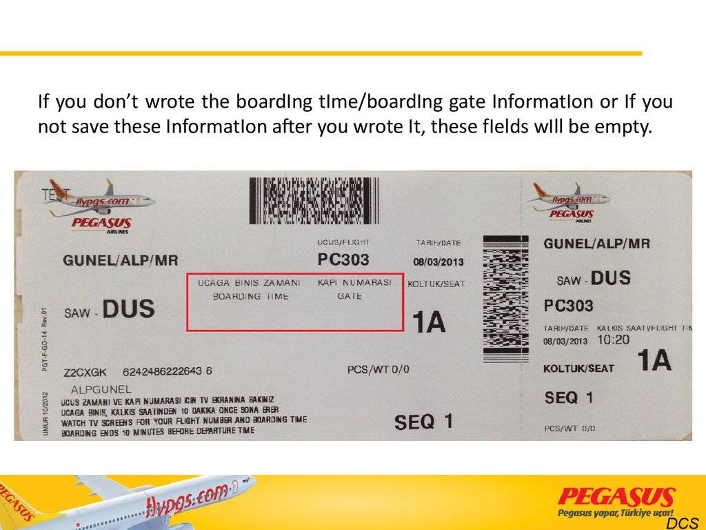 Вижу купить билеты. Pegasus Airlines электронный билет. Электронный билет Пегасус. Билет на самолет Пегасус. Авиакомпания Pegasus Airlines билет.