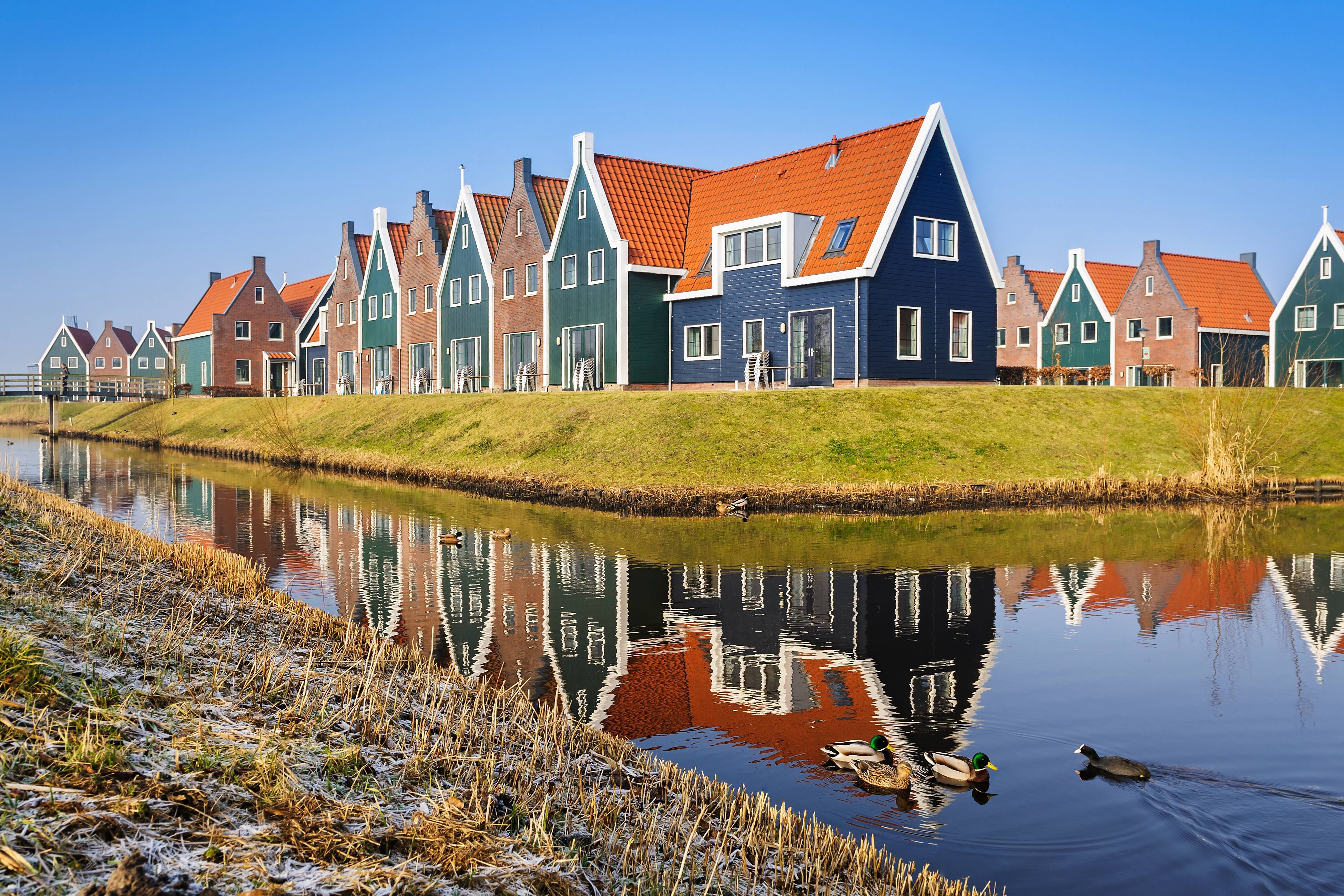 цветные дома в голландии