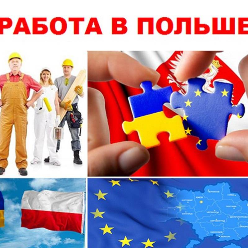 Работа в польше: где найти, как устроиться и сколько можно заработать?