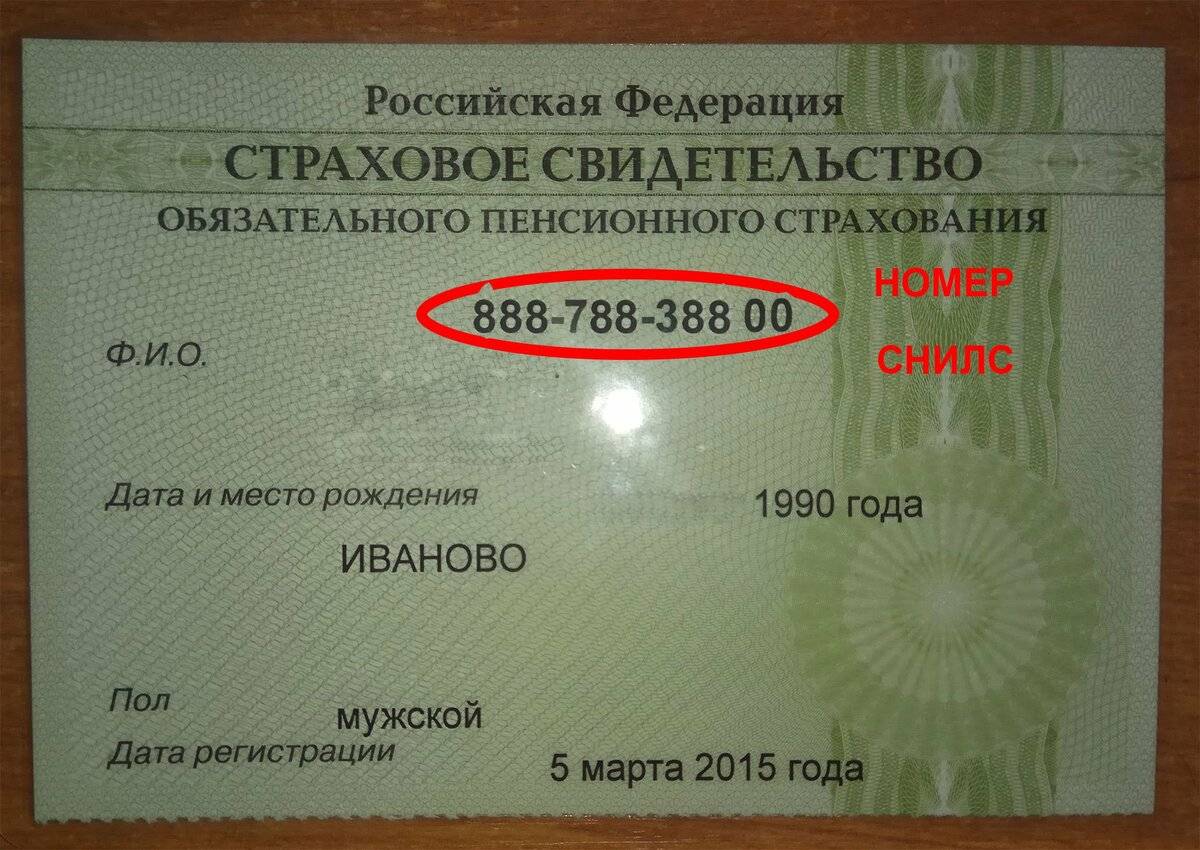 Как узнать номер снилс - онлайн с помощью интернета: по инн и фамилии