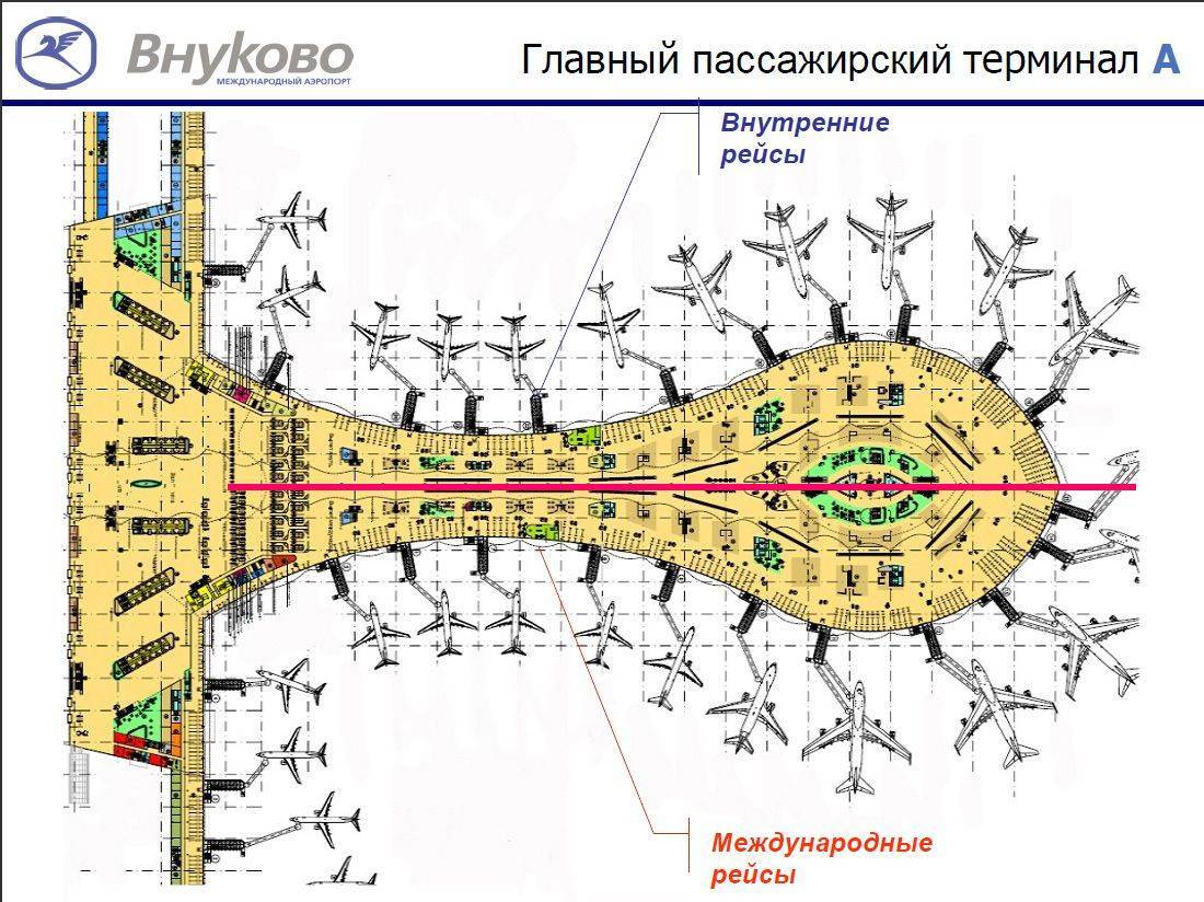Подробная схема терминала а аэропорта внуково и других комплексов