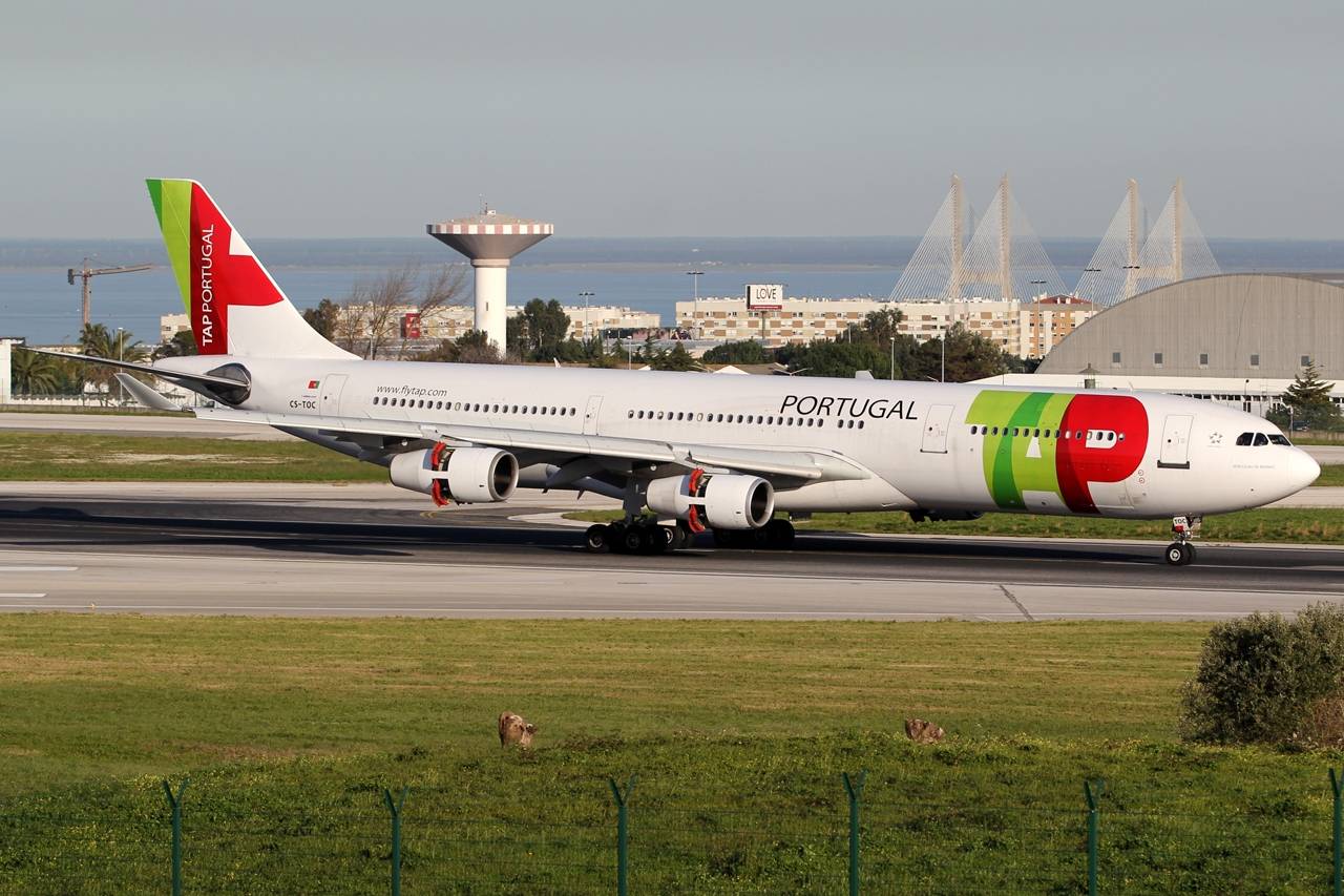 Тап португал (tap portugal)
