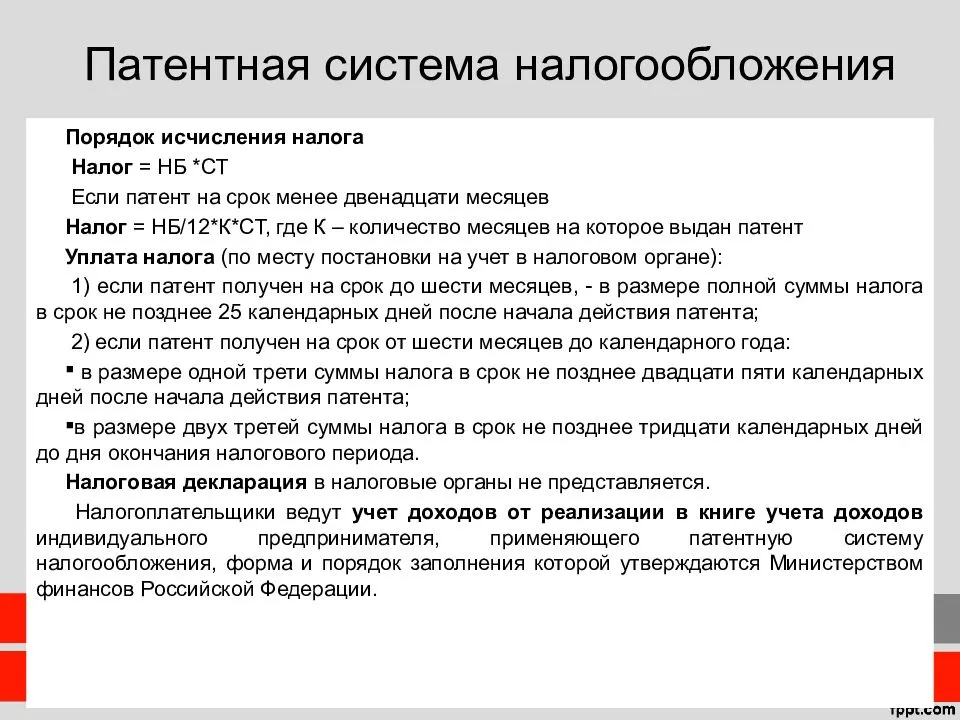 Миграционный форум санкт-петербурга