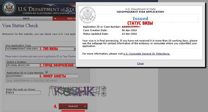 Uscis status. Статус визы США. Статус Issued виза США. Статусы готовности визы. Проверка статуса визы.