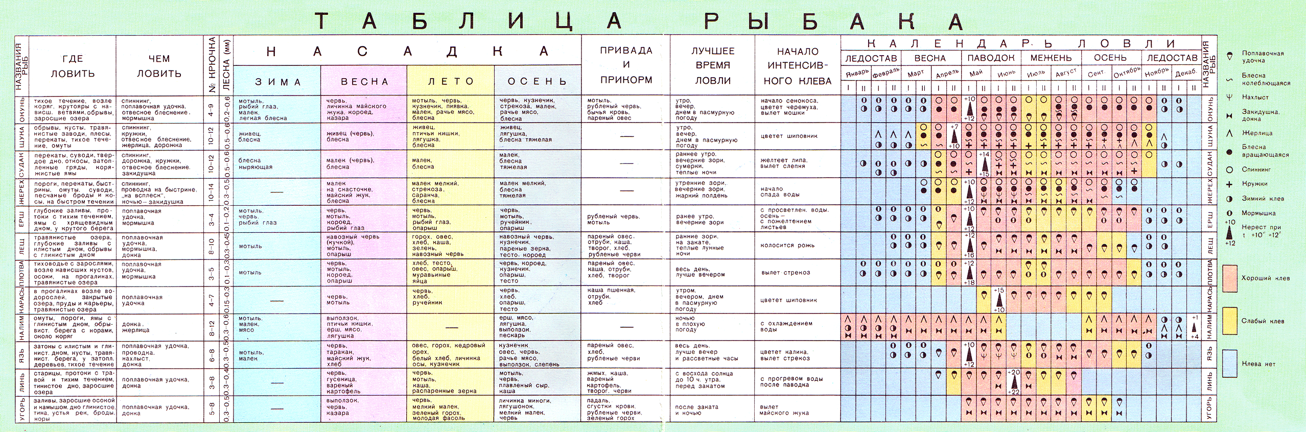 Учеба в дрезденском техническом университете: о чем нужно знать иностранцу