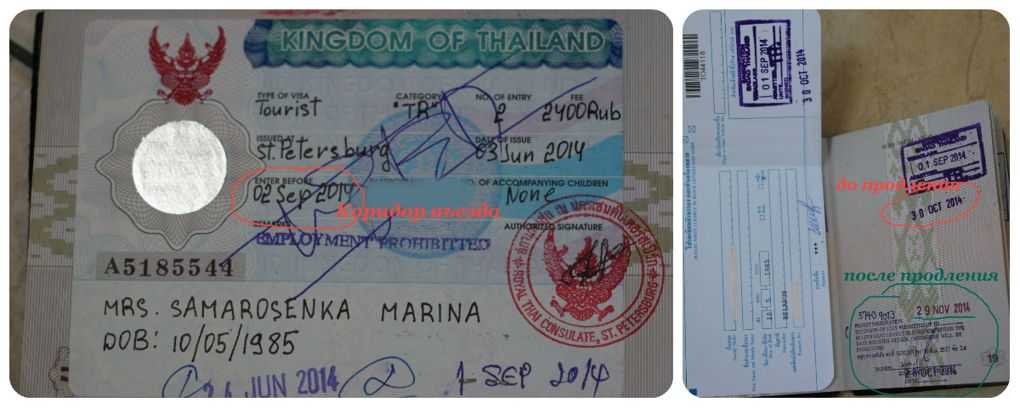 Продление визы. Продлить визу в Тайланде. Виза Пхукет. Виза в Тайланд для россиян. Продлевают ли визу