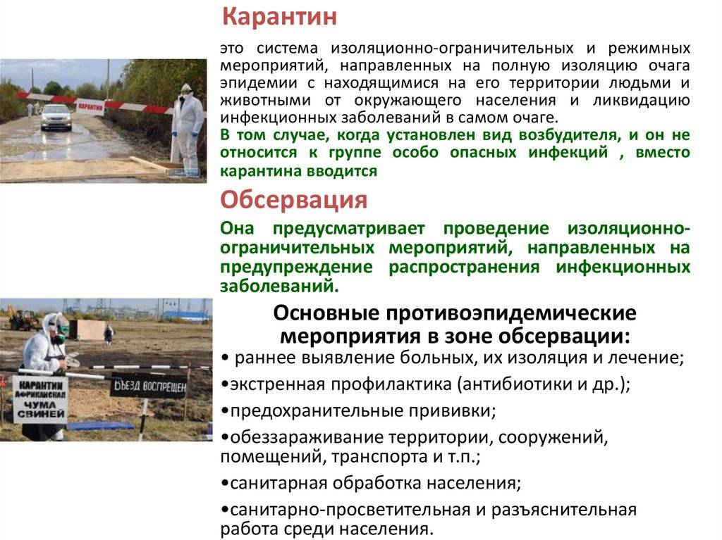 Когда возобновятся полеты в черногорию: меры послабления карантина