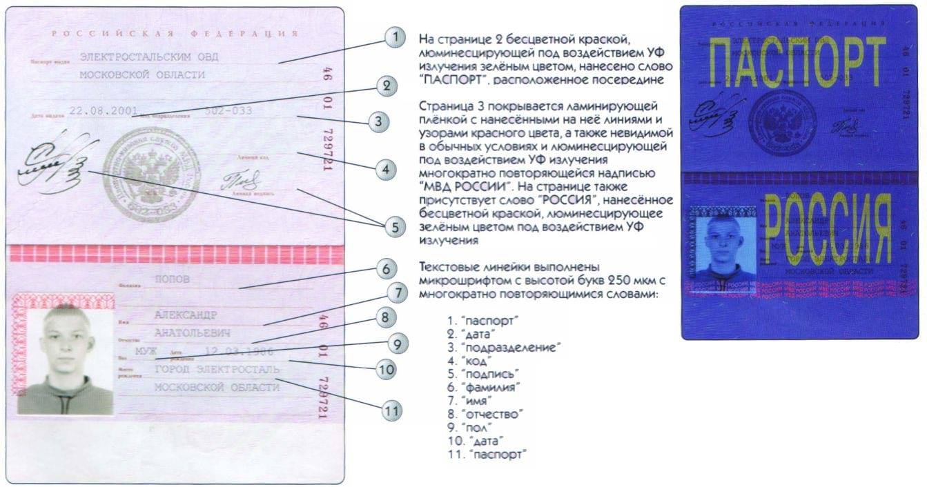 Как пробить паспорт гражданина рф в интернете