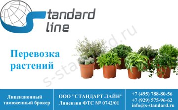 Список вещей, которые можно брать с собой в ручную кладь самолёта