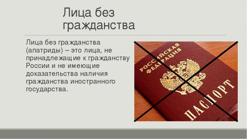 Административно-правовой статус лица без гражданства на территории российской федерации в 2020 году