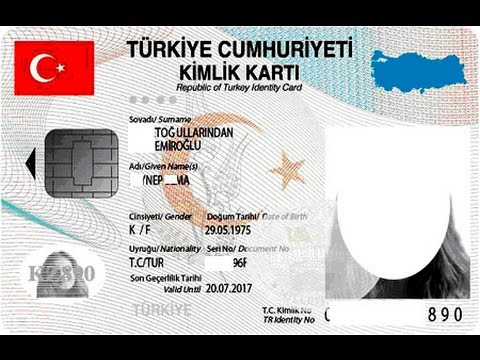 Легче, чем вы думали: как получить гражданство турции в 2022 году | саша коновалова | дзен