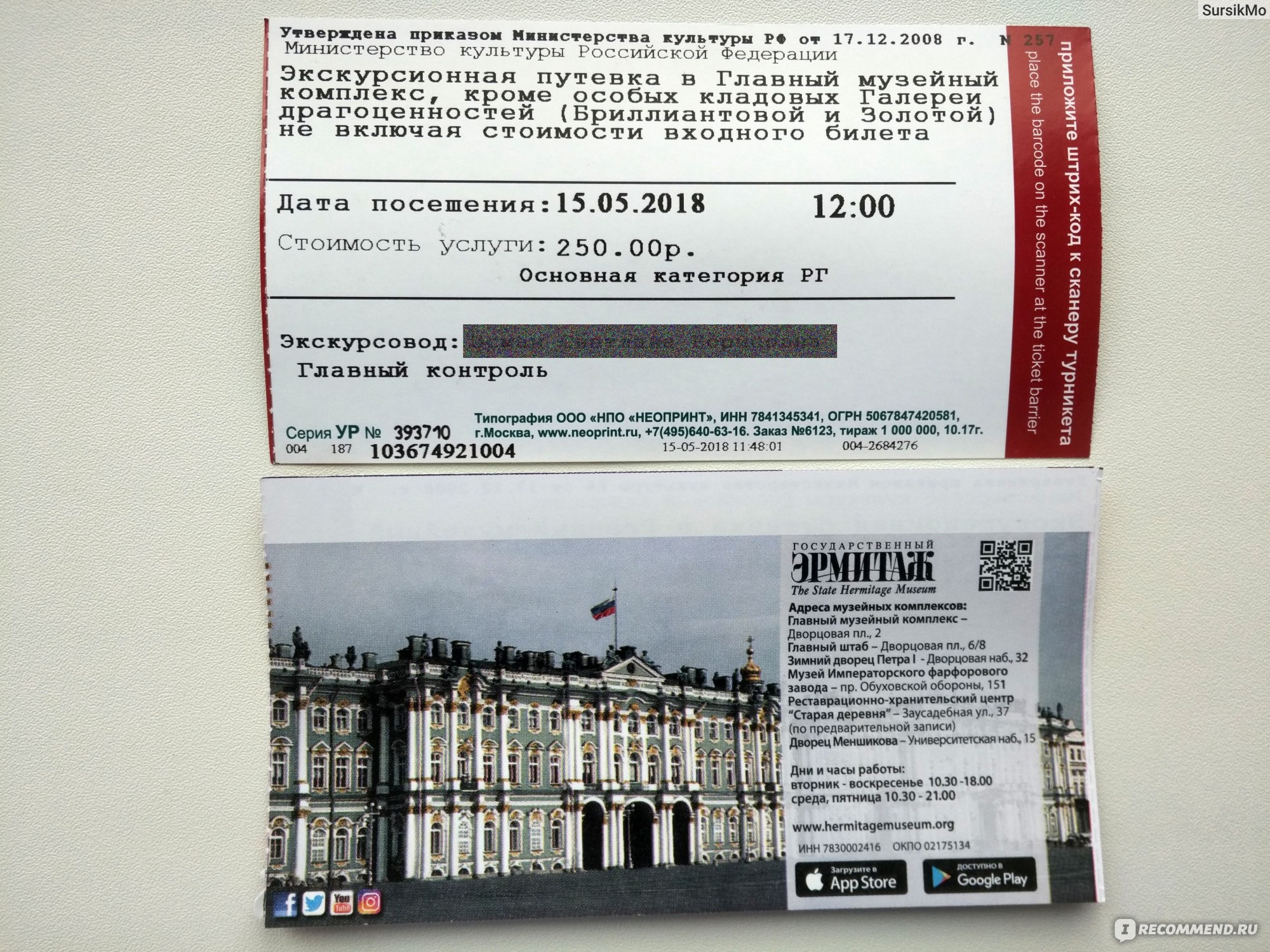 Входной билет в эрмитаж. Эрмитаж билеты. Билет в музей Эрмитаж. Билеты в Эрмитаж Санкт-Петербург.