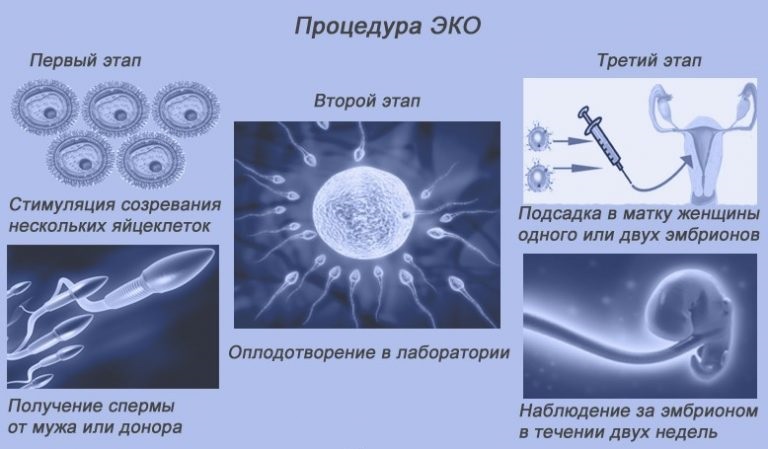 Японский протокол для эко - особенности и преимущества