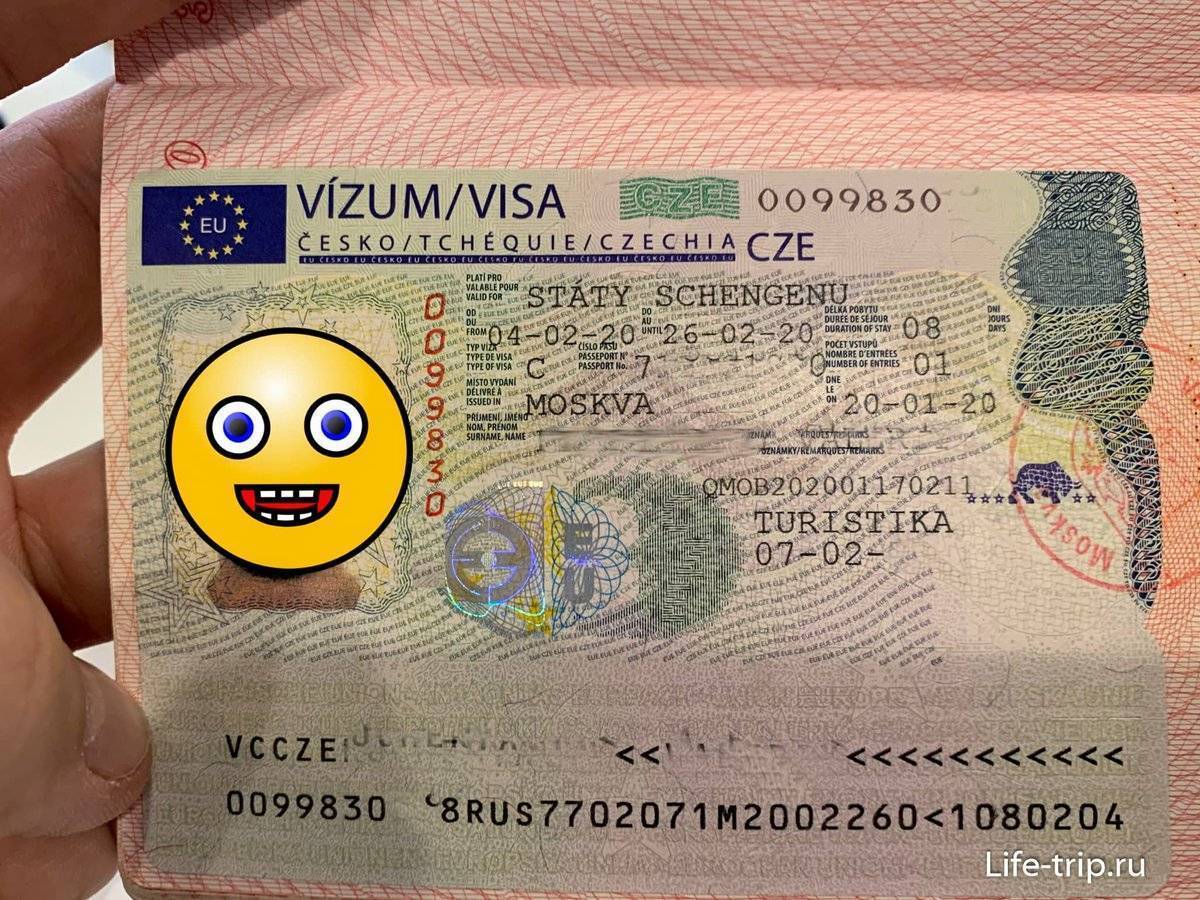 Виза в чехию в 2023 году: инструкция по оформлению | provizu