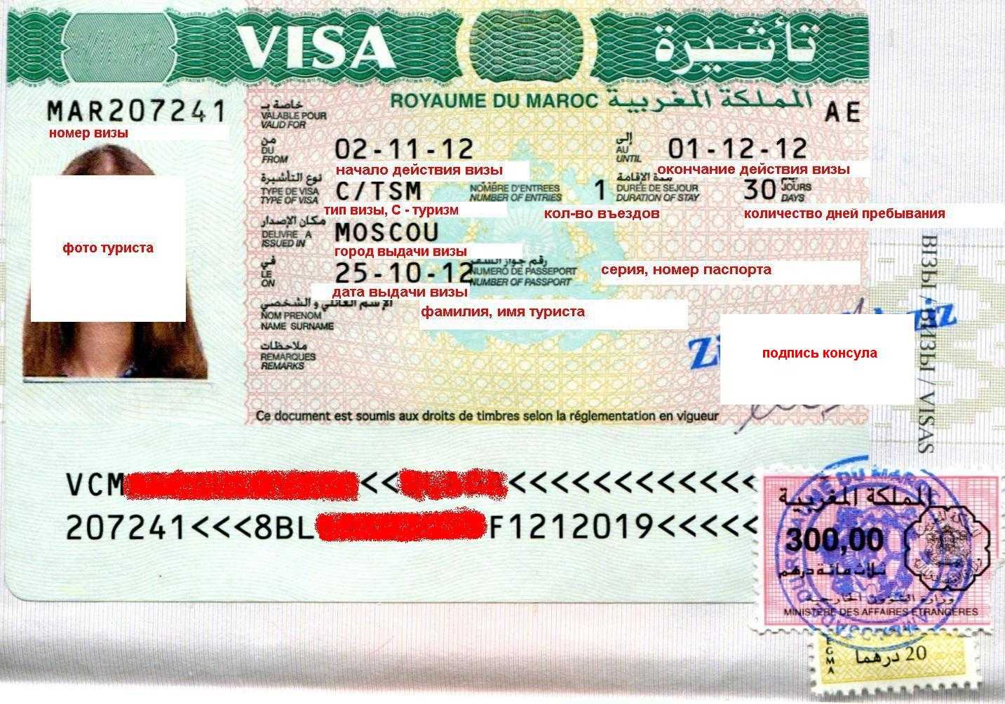 виза ирак требования