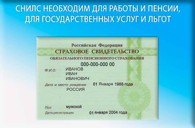 Как узнать снилс по паспорту онлайн