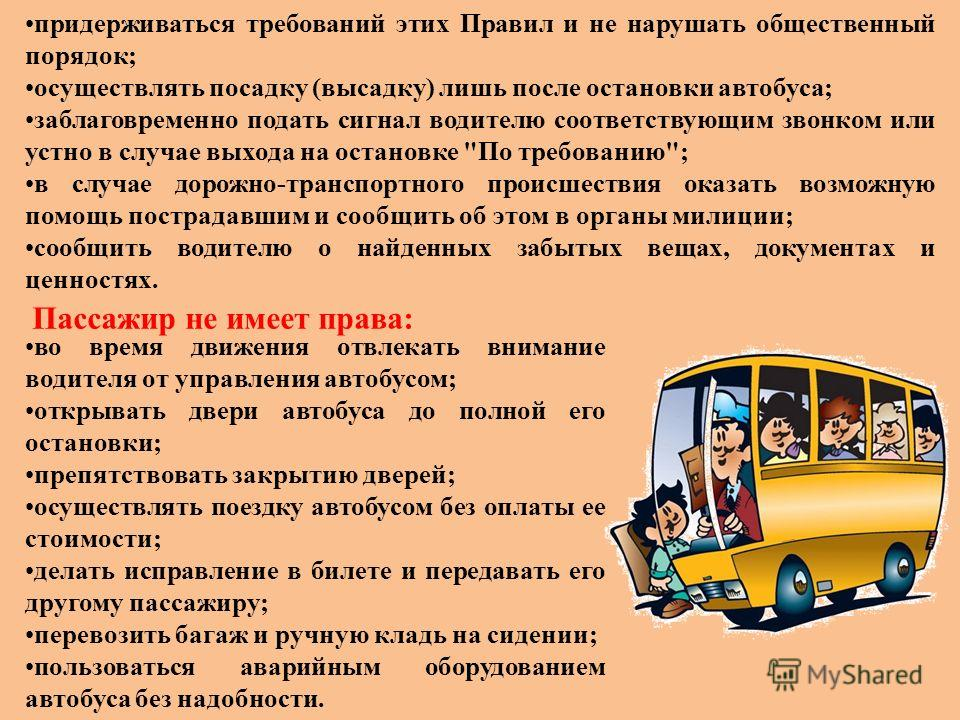 Правила обязывают водителя. Пассажиры в автобусе. Водитель школьного автобуса. Требования к водителю автобуса.