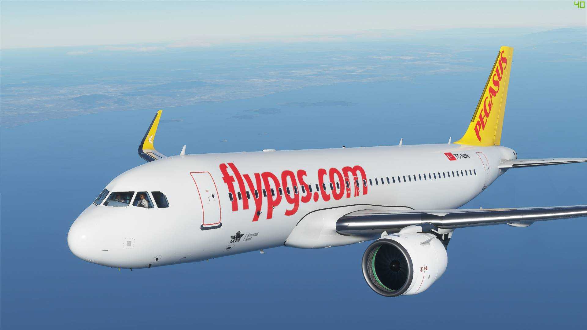 Авиакомпания pegasus airlines: отзывы