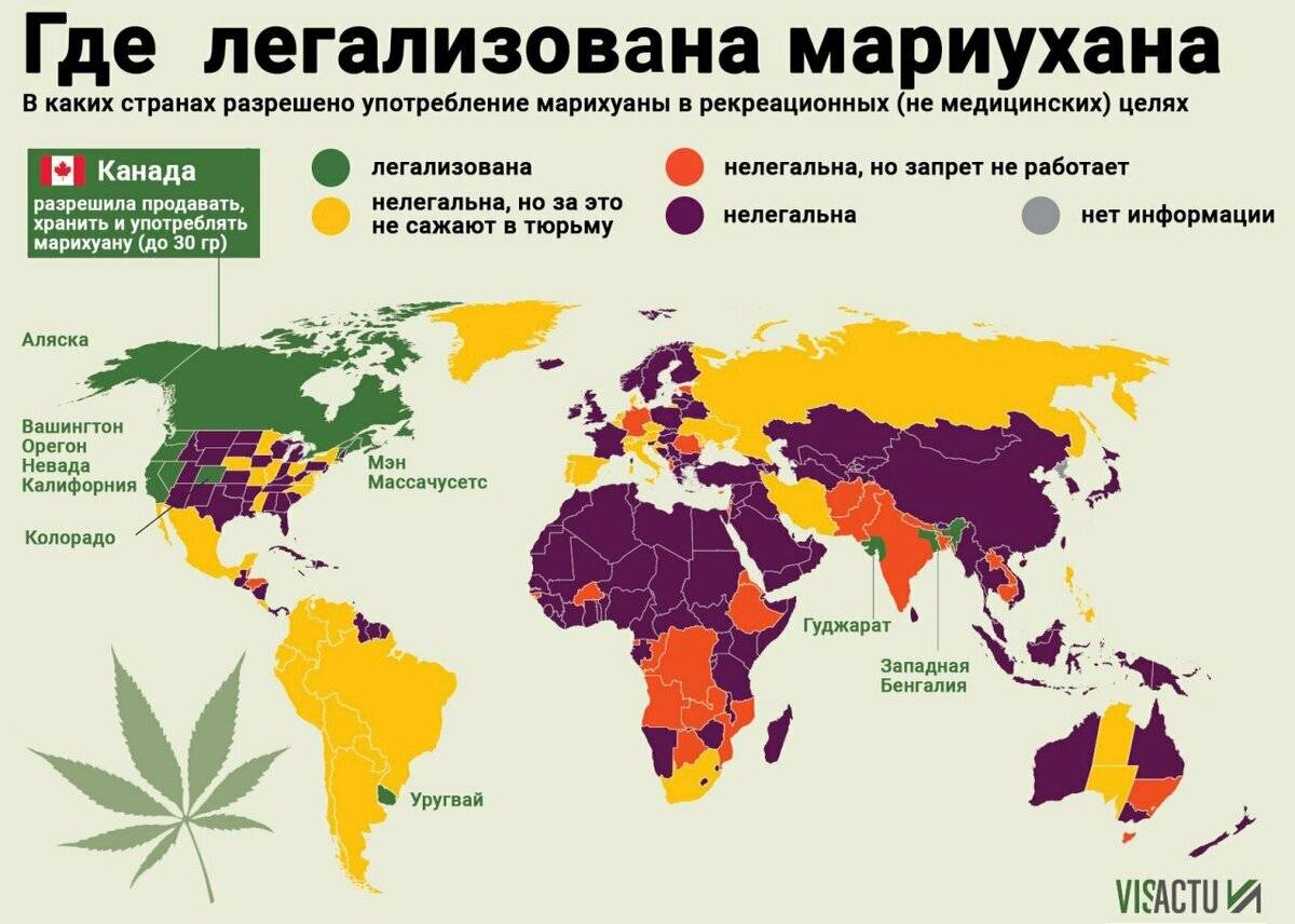 Легализация пребывания в Испании