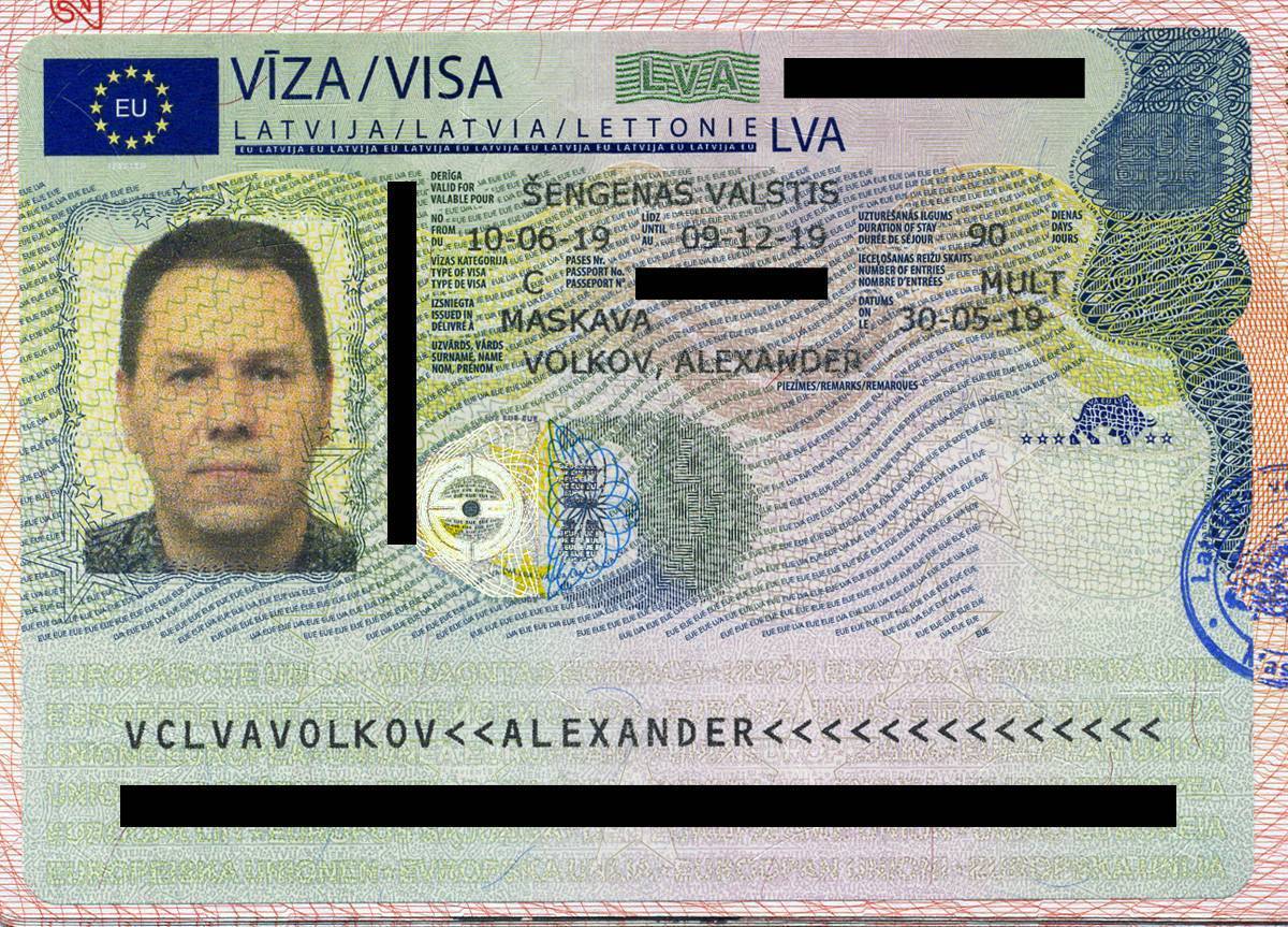 Visa type. Новая шенгенская виза. Visa шенген. Новая виза шенген. Немецкая виза.