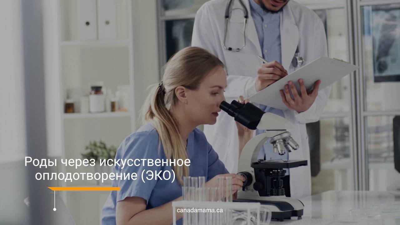 Роды в канаде в 2023 году: организация, стоимость, гражданство