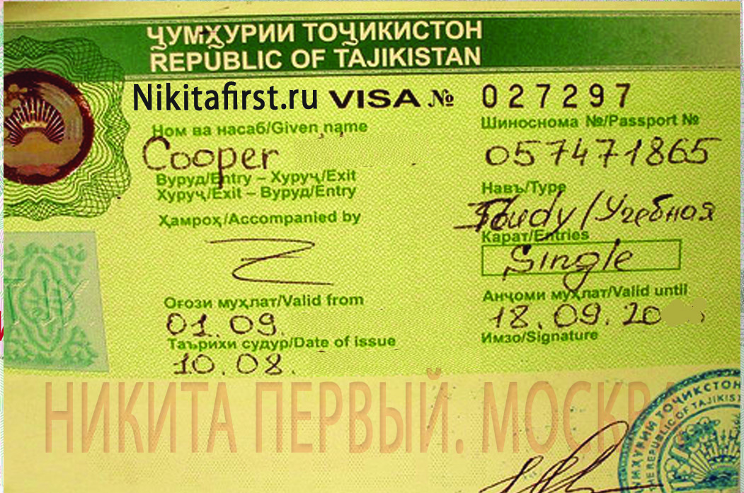 Нужна ли виза таджикам. Виза Таджикистан. Таджикская виза. Виза для граждан Таджикистана. Visa Таджикистан.