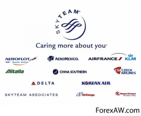 Sky team альянс: участники, кто входит в состав skyteam alliance (скайтим альянс), преимущества и недостатки компаний-партнеров