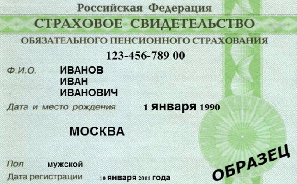 Как узнать снилс по паспорту через интернет и другие способы