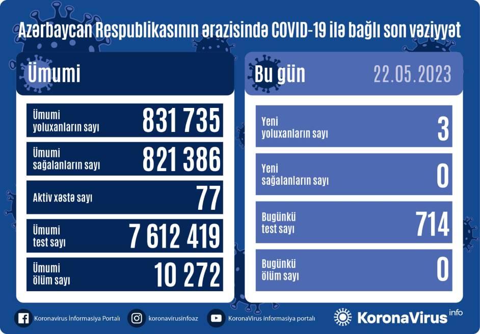 Что будет, если тест на коронавирус окажется положительным в турции