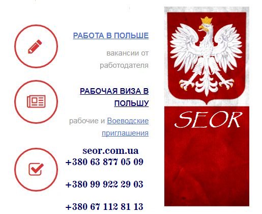 Номерные знаки 2021. как узнать, из какой части польши автомобиль? – avtotachki