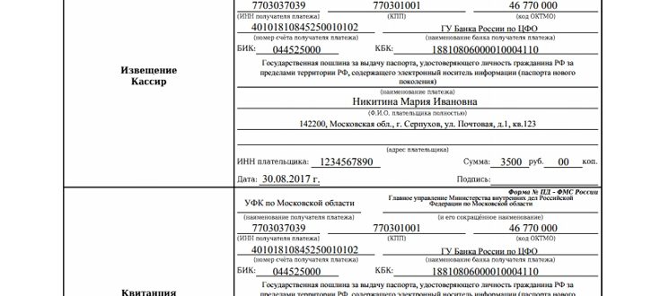 Где оплатить госпошлину: виды госпошлин и способы их оплаты